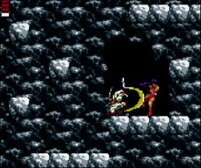Shinobi (2011) (3DS)